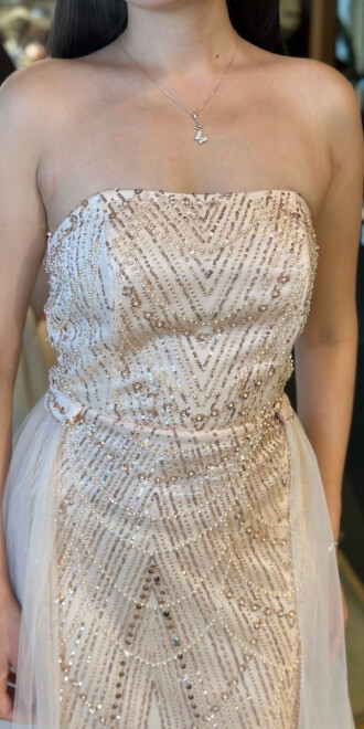 Pudra Straplez Yaka Tül Pelerin Etekli Pullu Boncuklu Uzun Abiye Elbise 7705 - 4